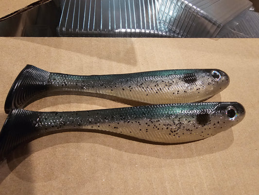 Green Back Shad