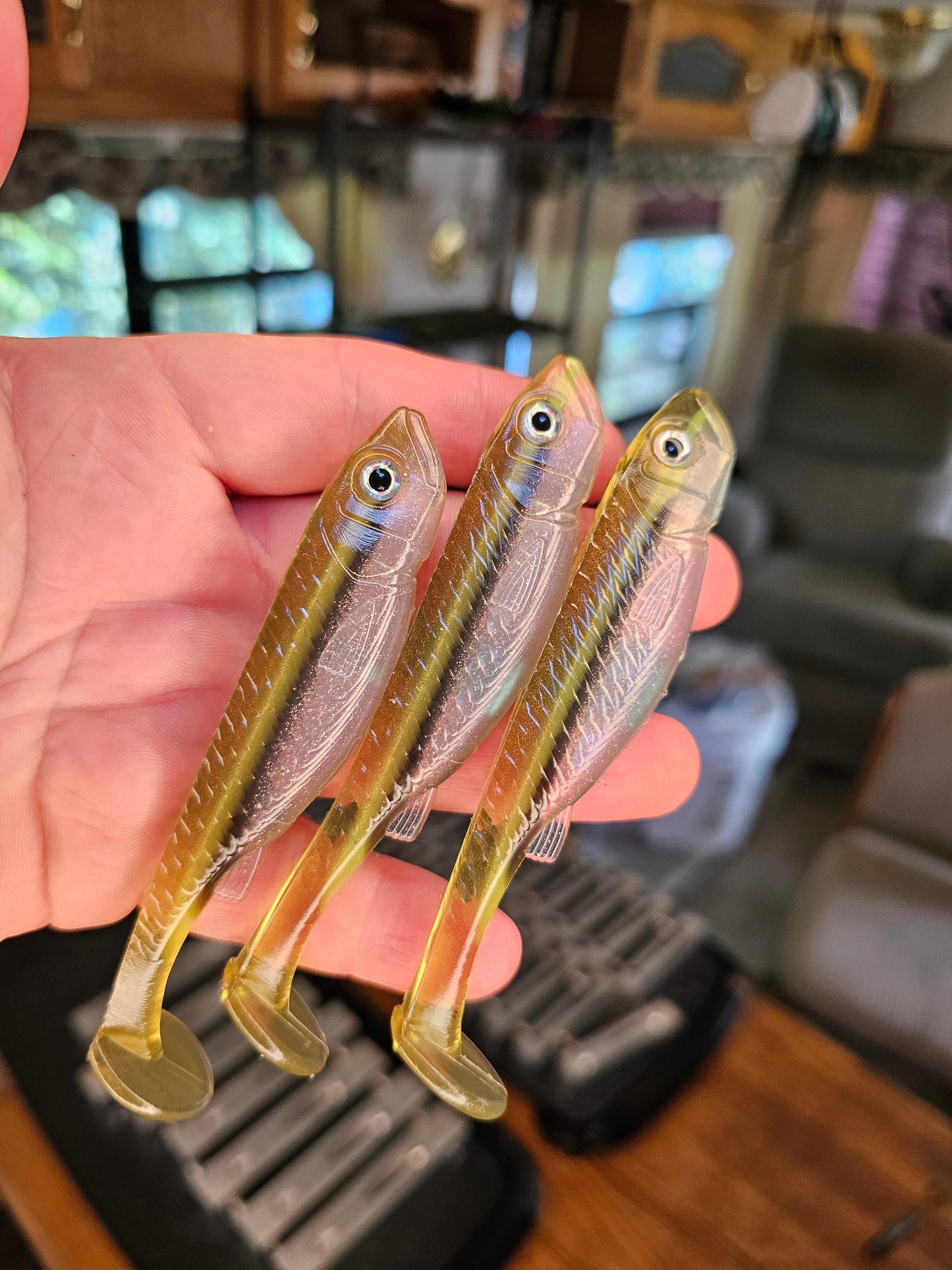 Missouri Minnow