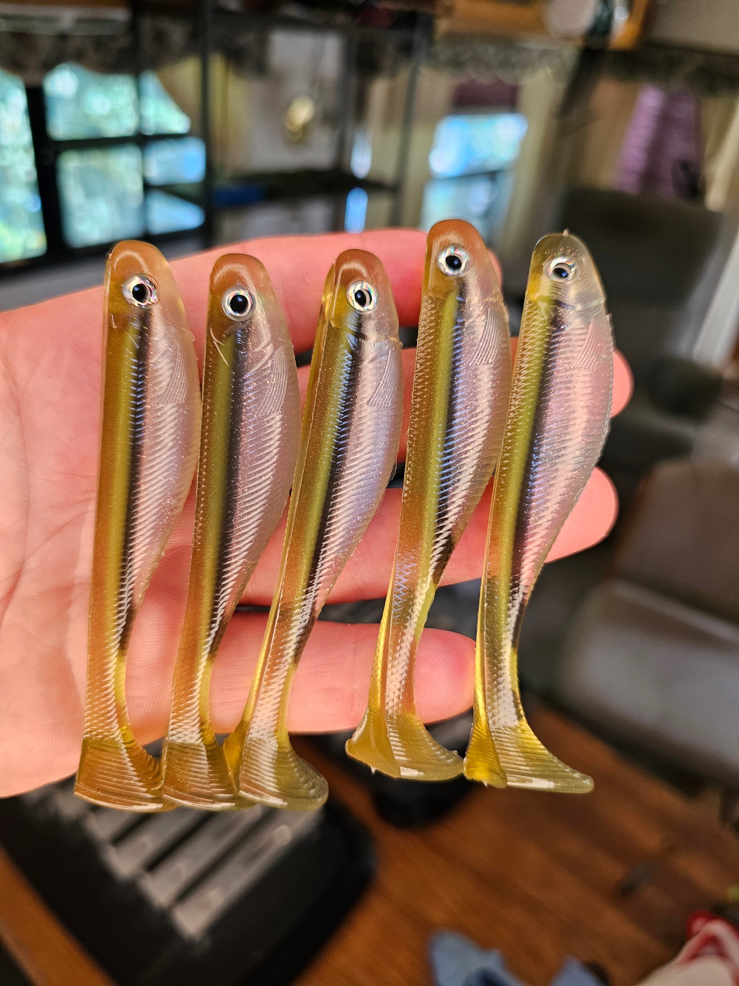 Missouri Minnow