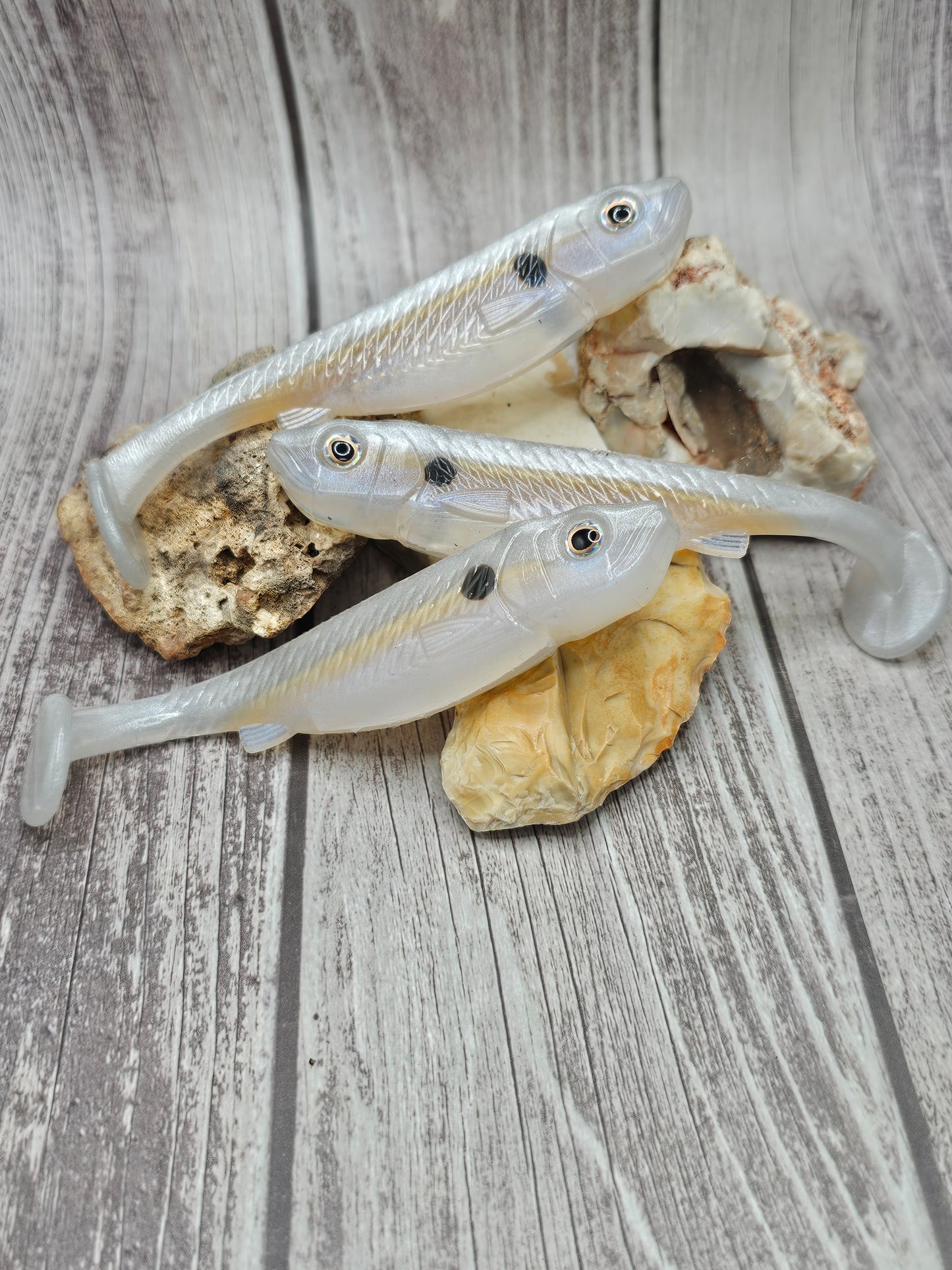 Albino shad