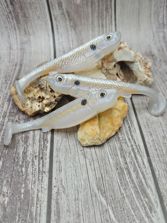 Albino shad