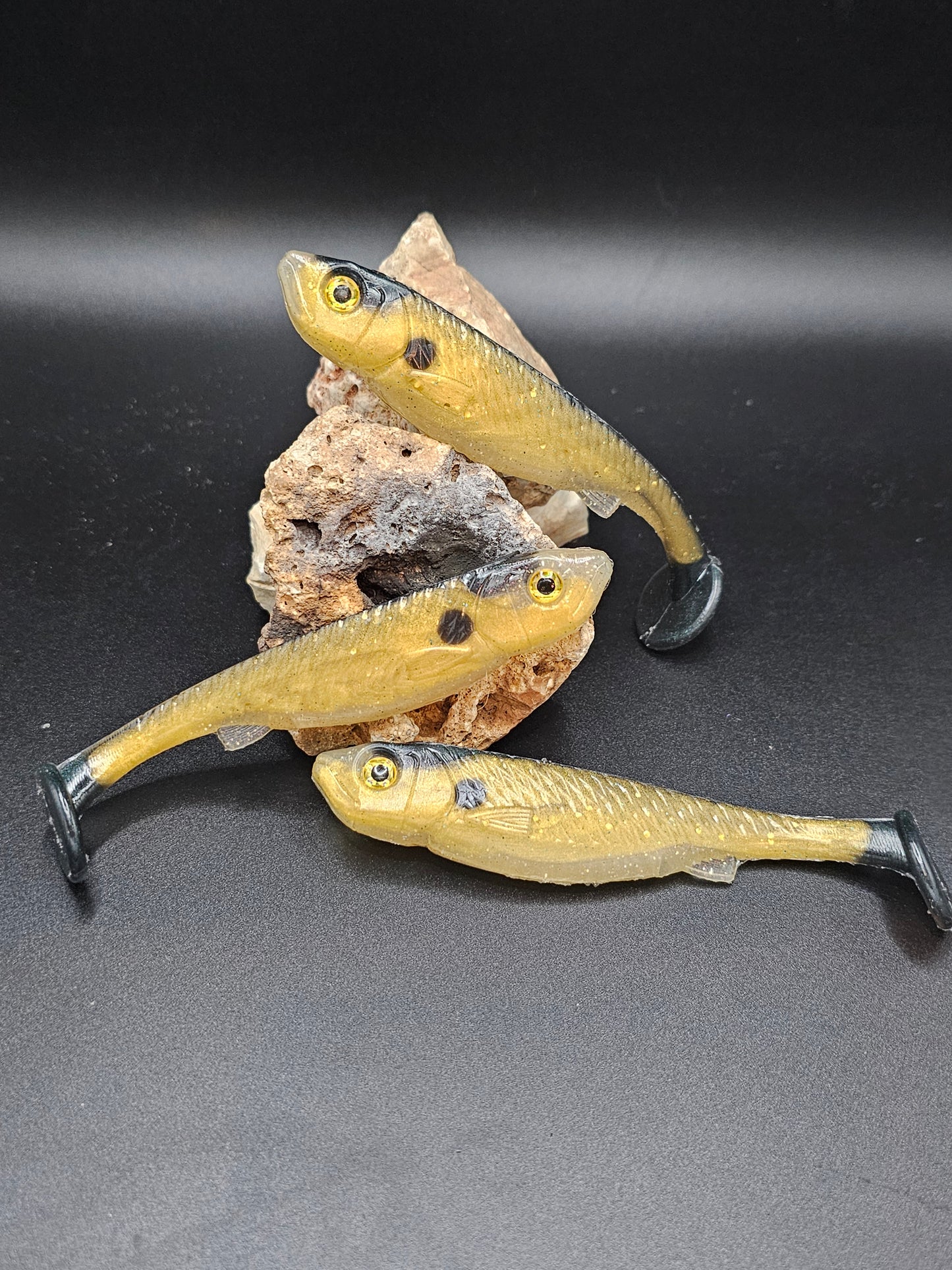 Golden shiner