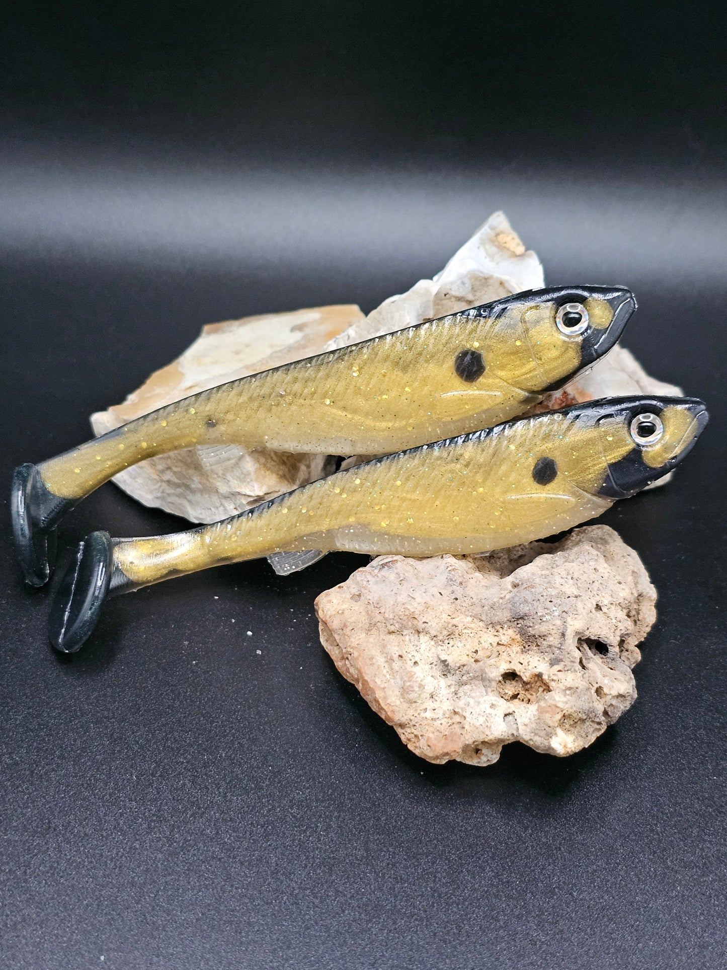 Golden shiner
